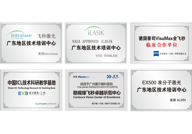 近视手术荣誉奖牌